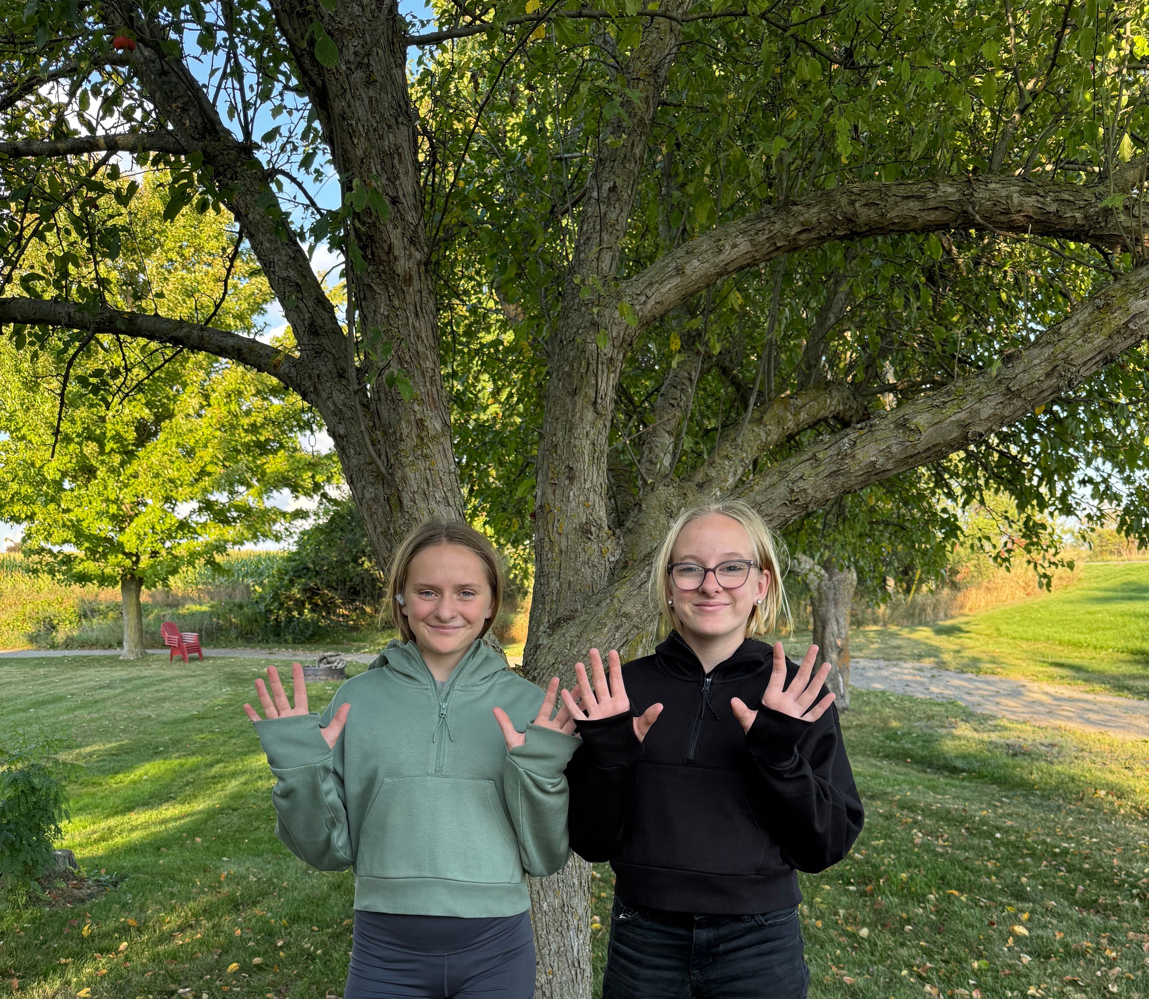 Women's OT Cropped Hoodie